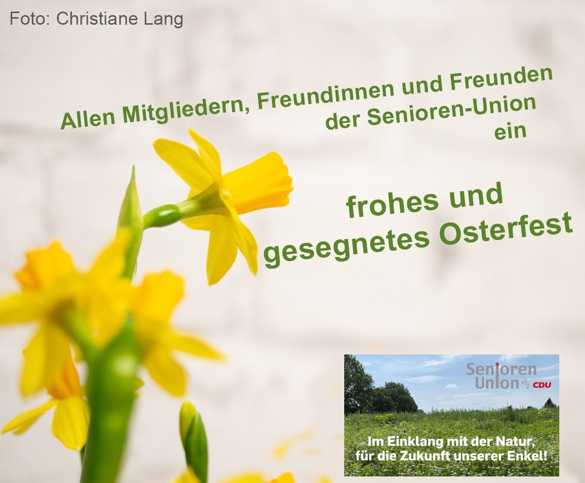 Artikelbild